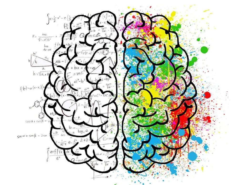 Hypnotherapy for Dependency Recovery in Vancouver - A detailed illustration of a human brain, highlighting its complexity and connection to mental health and behavioral change.