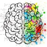 Hypnotherapy for Dependency Recovery in Vancouver - A detailed illustration of a human brain, highlighting its complexity and connection to mental health and behavioral change.