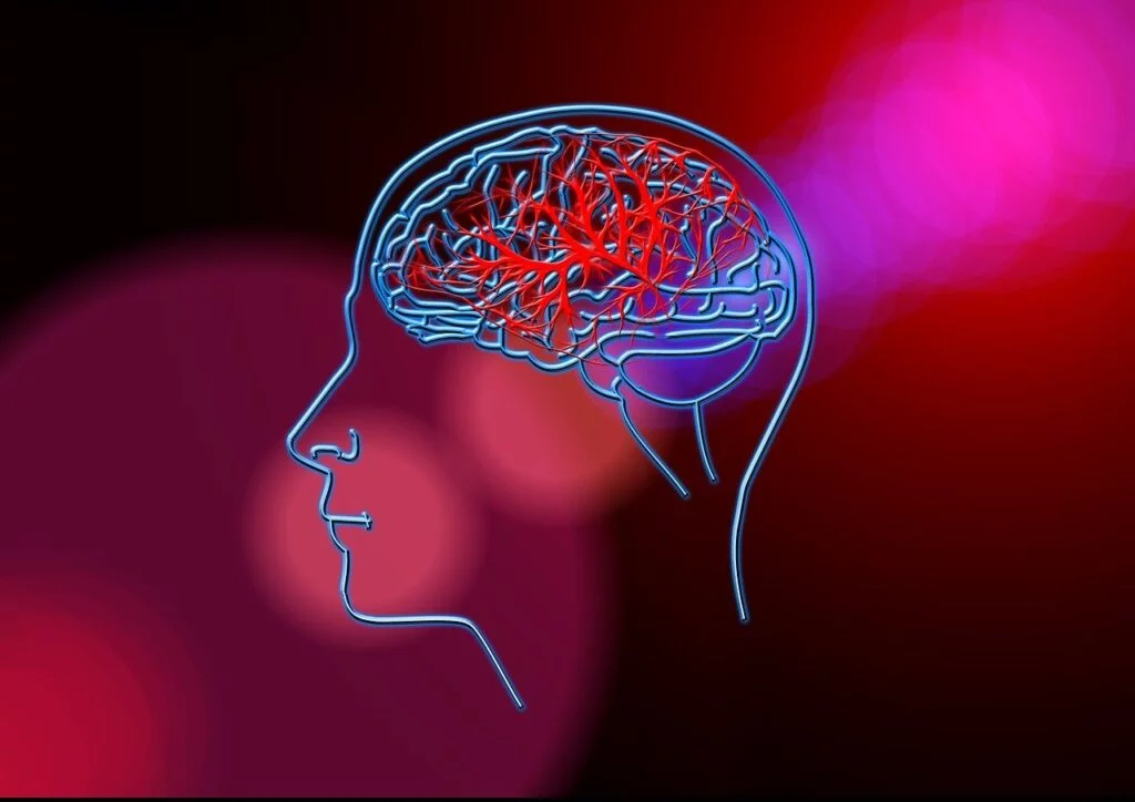 Stroke Recovery, brain, blood circulation-