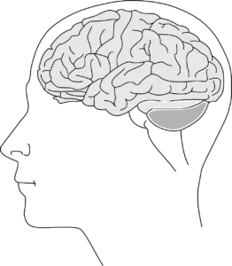 Unlocking Your Brain’s Potential